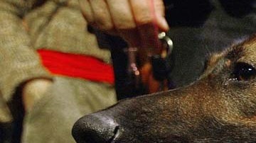 La frontera sur de Texas tendrá nuevos vigilantes