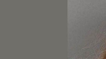 Danielle Radue de 28 años se encuentra en la cárcel de Ada en Idaho.