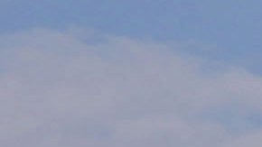 Biden Casa Blanca funcionarios