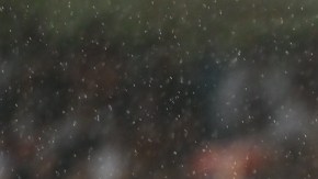 Partido amistoso entre Celta de Vigo y Pumas.