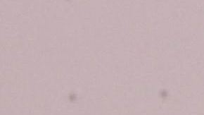 Chiquis Rivera, cantante de regional mexicano e hija de Jenni Rivera.