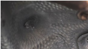 Sigue estos prácticos consejos para evitar el robo del convertidor catalítico de tu vehículo