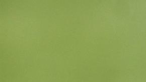 Dani Alves ya fue presentado por la afición de los Pumas.