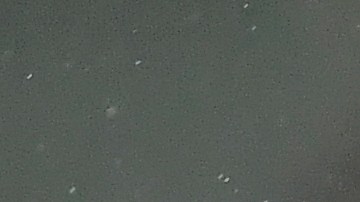 David Ochoa está en la órbita de varios equipos de Europa y la Liga MX.