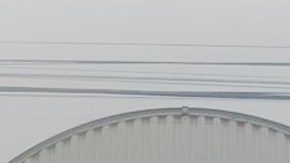 Decomiso de drogas en Sinaloa