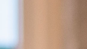 Donald Trump alabó la entereza de su ex esposa Ivana y su belleza interna y externa