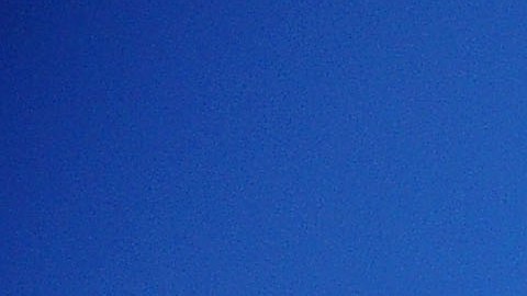 El 23 de agosto vuelve la Liga de Ucrania sin público y entre fuertes medidas de seguridad.