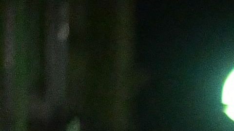 El motivo para matar al ex primer ministro japonés Shinzo Abe no fue político declaró el presunto asesino