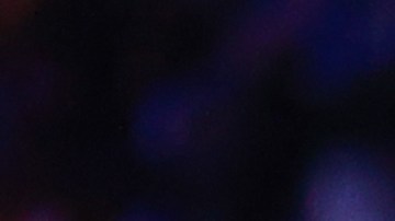 El venezolano Fernando Aristeguieta sufrió una grave lesión que lo mantendrá alejado de las canchas el resto de la temporada.