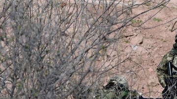 Elementos de la Marina de México