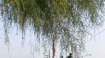 Elevada temperatura en Arizona