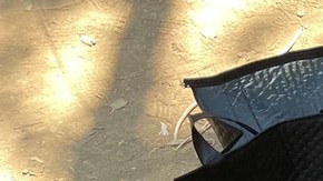 Encuentran $100,000 dólares de un botín robado en un búnker para personas sin hogar en California