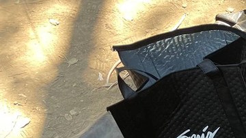 Encuentran $100,000 dólares de un botín robado en un búnker para personas sin hogar en California