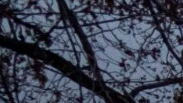 Esposa embarazada de un marine hispano envía fotos a su madre del ataque cometido por su marido antes de que la matara a machetazos