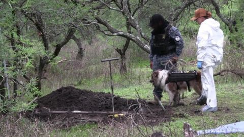 Fosa clandestina en Michoacán