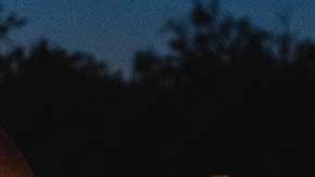 Familiares del migrantes revelaron que pagó $8 mil a una persona para que lo pasara a EE.UU.