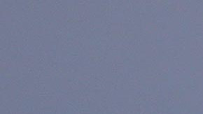 La portavoz del Aeropuerto Internacional de Denver declaró que no hubo ningún herido.