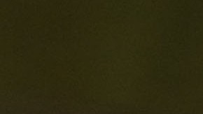 Apartamento Peña Nieto