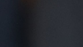 Donald Trump Ron DeSantis