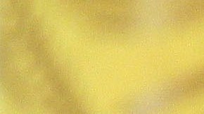 Bill Russell falleció a los 88 años de edad.