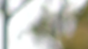 People ride bicycles in car-free streets during a CicLAvia event in Culver City on March 3, 2019. - CicLAvia is a non-profit organization that hosts events where people can bike, walk, skate and stroll on car-free streets. (Photo by Chris Delmas / AFP) (Photo credit should read CHRIS DELMAS/AFP via Getty Images)