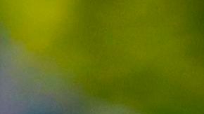 El ciclista colombiano Miguel López es investigado, pero no ha sido detenido.