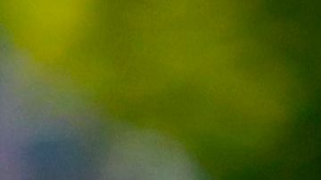 El ciclista colombiano Miguel López es investigado, pero no ha sido detenido.