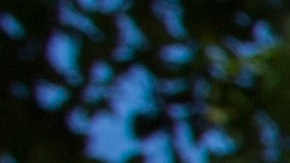 A bundle of police crime scene tape is left on front of the 7-eleven shop in Santa Ana, California on August 08, 2019 where a security guard was fatally stabbed. - Police said the suspect, Zachary Castaneda, a 33-year-old resident of Garden Grove used multiple knives or machetes in the attacks that started yesterday afternoon. (Photo by Apu Gomes / AFP) (Photo credit should read APU GOMES/AFP via Getty Images)