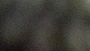 Pensilvania Serpiente