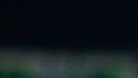 Carlos Vela