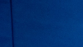 Elecciones 2020 Departamento de Estado