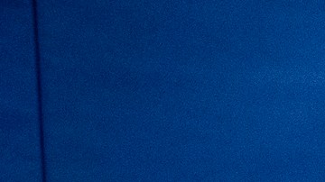 Elecciones 2020 Departamento de Estado