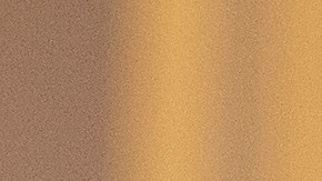 Donald Trump Mike Pence Arizona