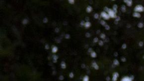 USPS estampillas Forever