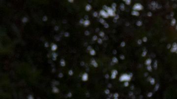 USPS estampillas Forever