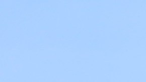 Daytona Beach accidente de tránsito