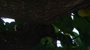 People sit outside their motorhome at a campsite in Peniscola near Castellon on July 8, 2020. - With social distancing now the new norm across Europe to avoid any fresh outbreaks, there has been a shift in thinking about holidays. Across Europe, there has been growing interest in the motorhome sector and today. (Photo by JOSE JORDAN / STR / AFP) (Photo by JOSE JORDAN/STR/AFP via Getty Images)