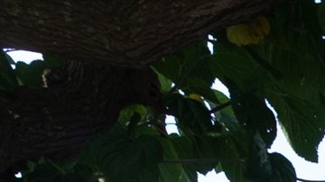 People sit outside their motorhome at a campsite in Peniscola near Castellon on July 8, 2020. - With social distancing now the new norm across Europe to avoid any fresh outbreaks, there has been a shift in thinking about holidays. Across Europe, there has been growing interest in the motorhome sector and today. (Photo by JOSE JORDAN / STR / AFP) (Photo by JOSE JORDAN/STR/AFP via Getty Images)