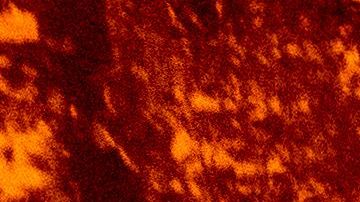 Los bomberos han calificado de explosivo el incendio Oak en el condado de Mariposa.