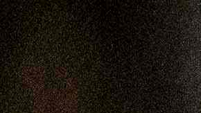 Jaguar muerde a niño tras violar reglas de seguridad y acercarse a jaula en Zoo de México