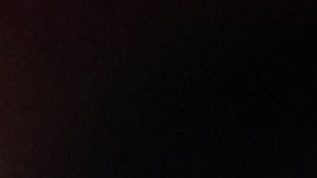 "Capi" es un enternecedor perro de la raza "golden retriever".