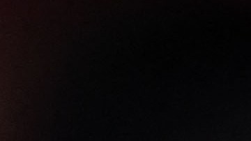 "Capi" es un enternecedor perro de la raza "golden retriever".