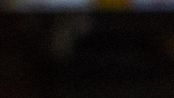 VIDEO: Gato llora como bebé mientras lo vacunan y se arrasa en internet