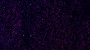 Sacramento Accidente de tránsito Persecución