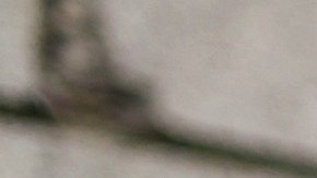 LGBTIQ+ Boston Graffitis