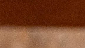 Anthony Fauci, el epidemiólogo jefe de Estados Unidos, anuncia que se retirará antes de 2024