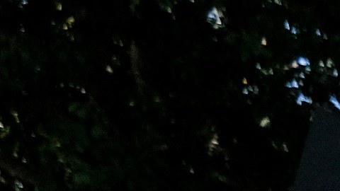 Nueva York Control de Armas