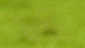 El Salvador podría ser suspendido de las competencias a nivel clubes en Concacaf.