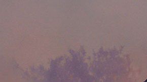 VIDEO: Ola de calor castiga a Europa con temperaturas extremas e incendios