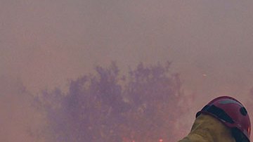 VIDEO: Ola de calor castiga a Europa con temperaturas extremas e incendios